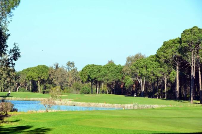 Best Sports Bars in Invermay Park - Midlands Golf Club