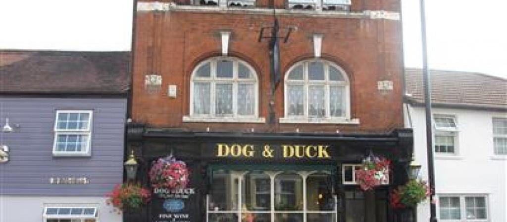 Best Sports Bars in London - Dog & Duck