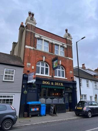 Best Sports Bars in London - Dog & Duck