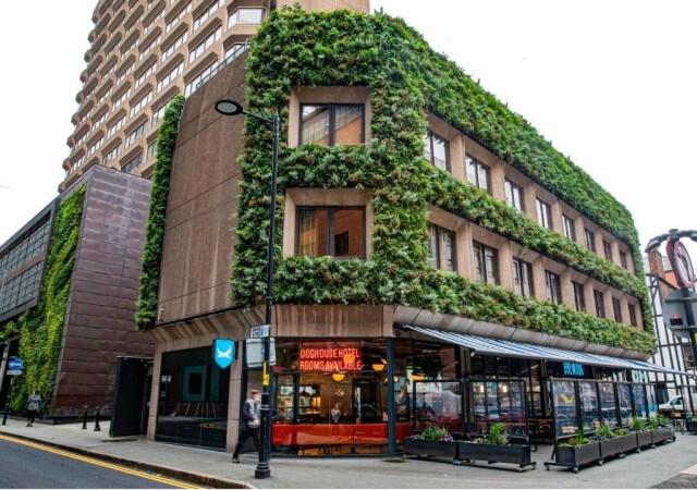Best Sports Bars in Manchester - BrewDog Doghouse Manchester
