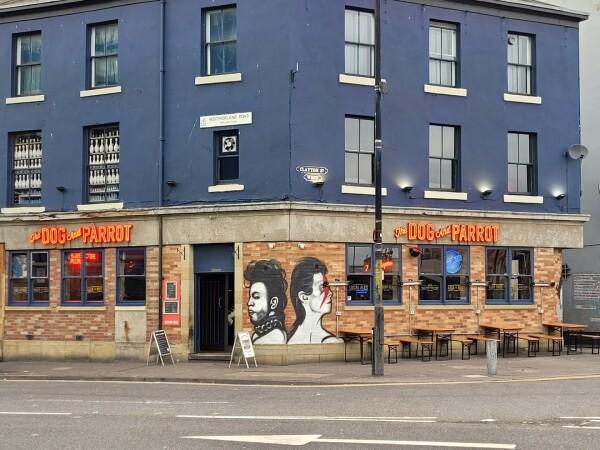 Best Sports Bars in Newcastle - The Dog and Parrot