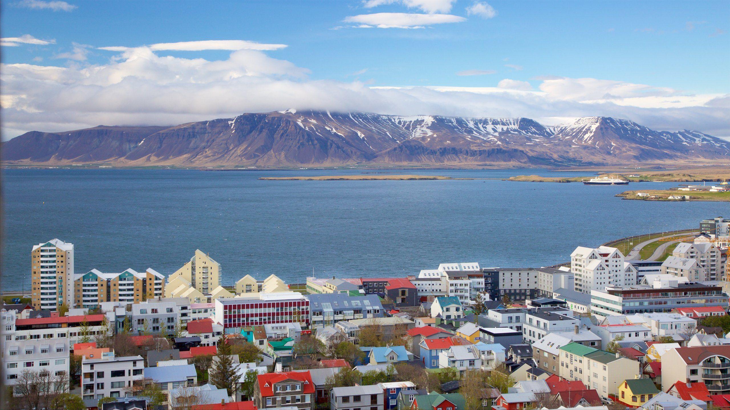 Bars showing sports in Reykjavik, Pubs near me playing sport live, Pubs in Reykjavik playing sports, best sports bar near me 
