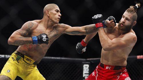 The best bars to make sure you don't miss any upcoming Alex Pereira fight.