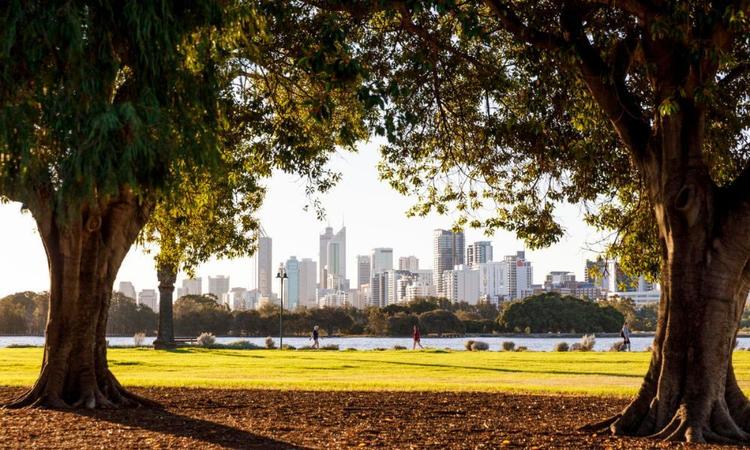 Discover pubs showing live sport in Victoria Park