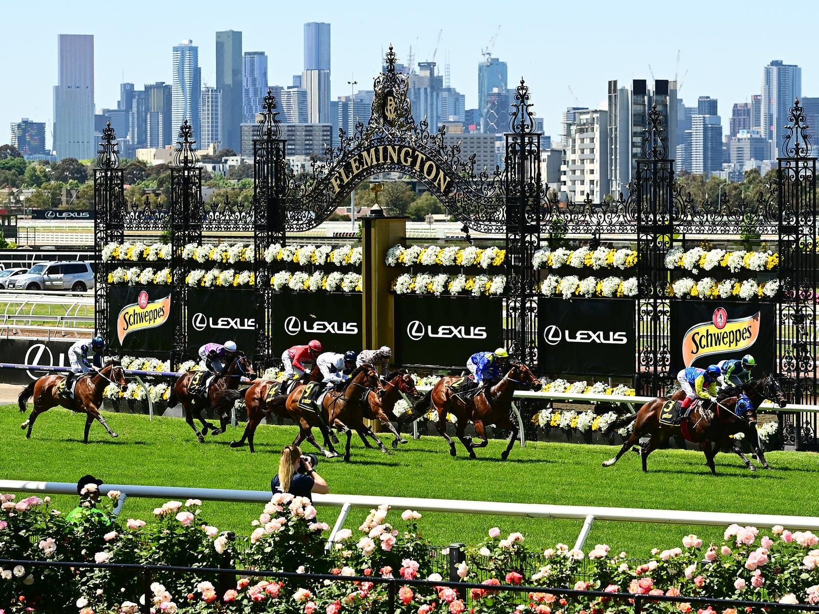 pubs showing Melbourne Cup, pubs showing horse racing, bars showing Melbourne Cup, pubs showing Melbourne Cup Live